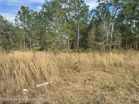 Brooksville Commercial Land For Sale