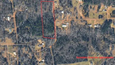 Hallsville Wooded 5-Acre Property