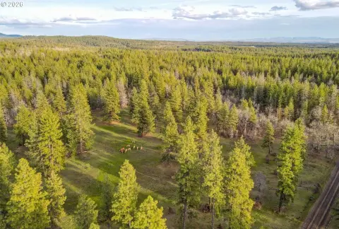 Recreational Hunting Land Parcel