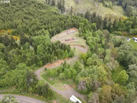 Land with Forest Views