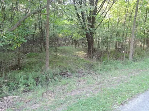 Wooded Lot in Private Development