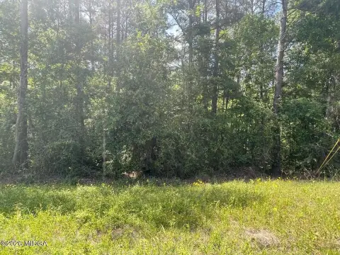 Wooded Residential Land Parcel
