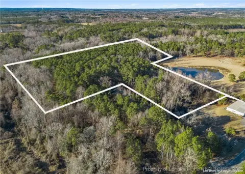 Vass, NC: Expansive Timber Lot