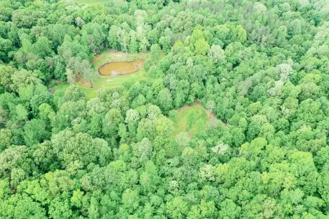 Wooded Hunting Land with Pond