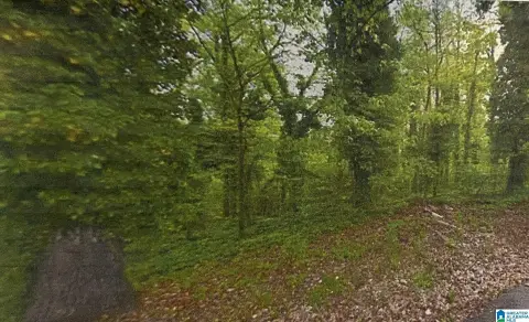Undeveloped Residential Lot in Subdivision