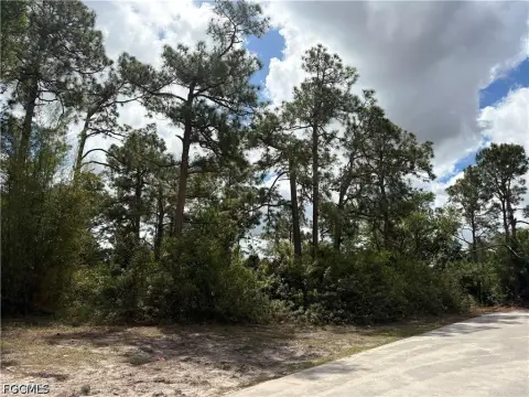 Lehigh Acres Wooded Lot