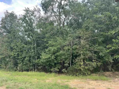 Pelion Acreage with Development Potential