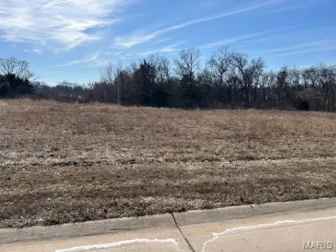 Commercial Land Near Parkway