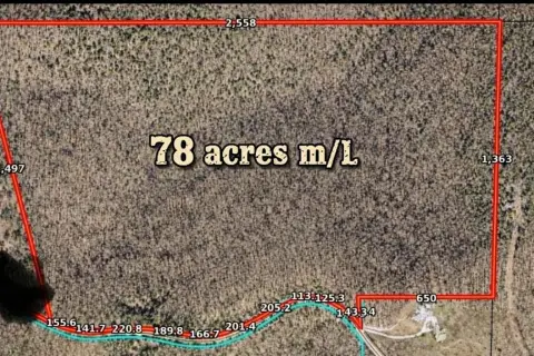 Hollister, MO Hunting Land