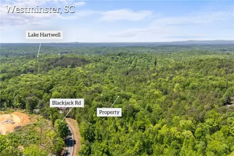 Westminster Land in Foxwood Hills