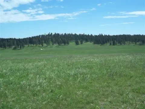 Custer Acreage with Development Potential