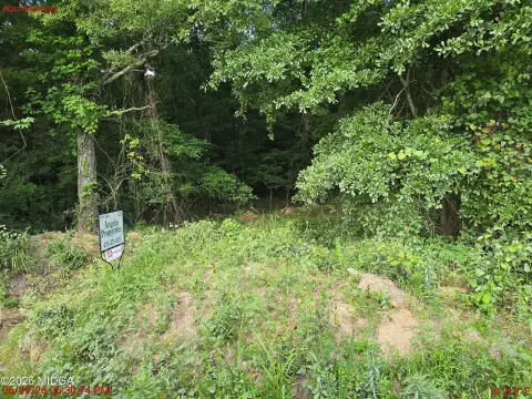 Agricultural Land Tract with Conservation