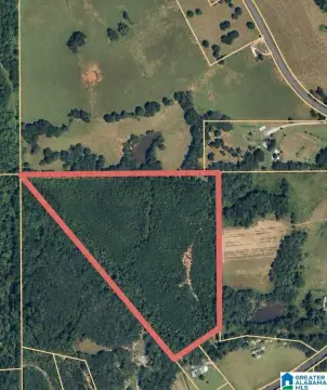 Wooded Hunting and Recreation Land