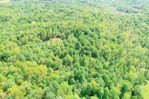 Wooded Hunting Tract with Pond
