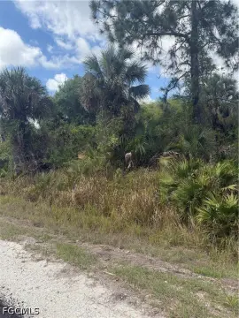 Lehigh Acres Half-Acre Lot