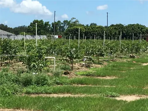 Redland Agricultural Land with Guava