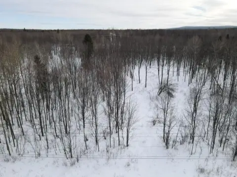 Expansive Land in Ellenburg Depot