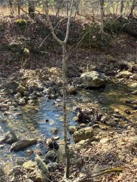 Ozark Land with Spring Creek