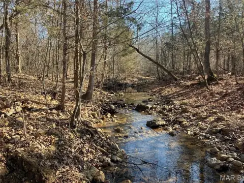 Ozark Hideaway with Spring-Fed Stream