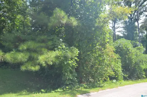 Residential Lot in Weaver