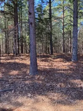 Ozarks Land with National Forest Access