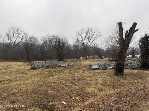 Spacious Land in New Bloomfield