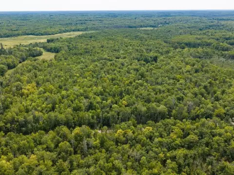 Hunting Land with Bunkhouse
