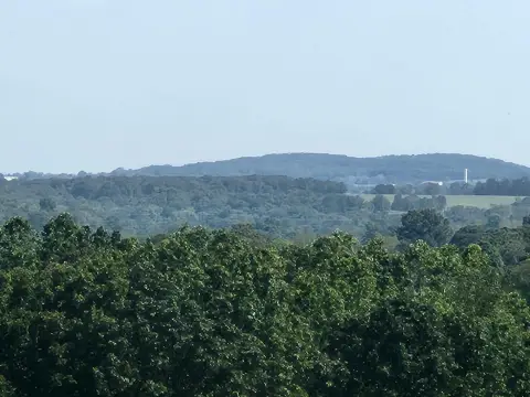 79 Acres Near Mountain Grove