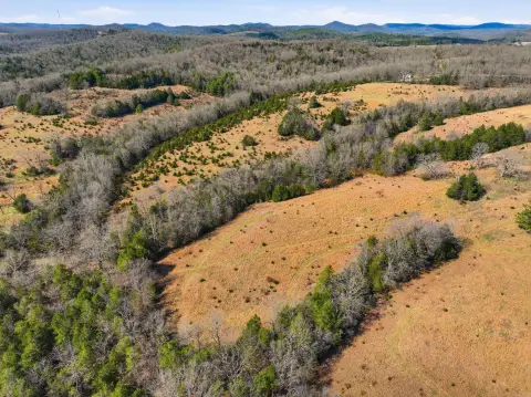 40 Acres Edge of Town