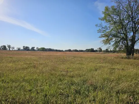 Unrestricted Land in Mt Pleasant, TX