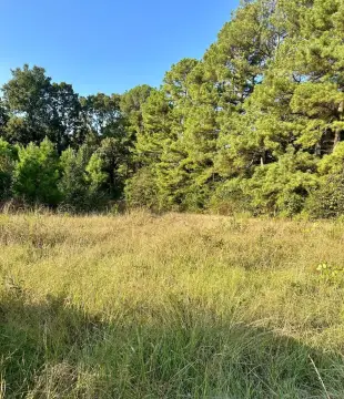 Land with Creek and Pond