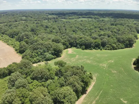 Agricultural Land with Timber