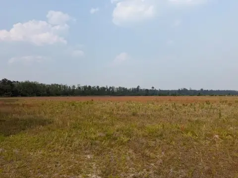Cleared Land Near Lakeland