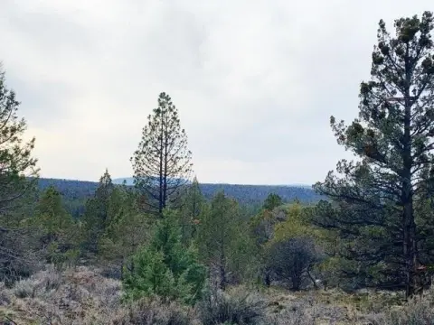 Bonanza, OR Treed Lots