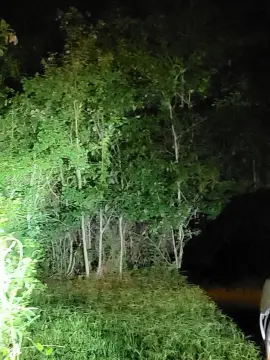 Residential Land in Picayune, MS