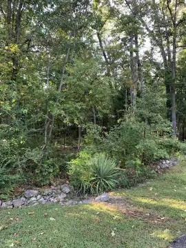 Subdivision Lot in Bull Shoals