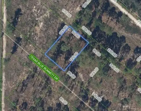 Residential Lot in Sebring, Florida