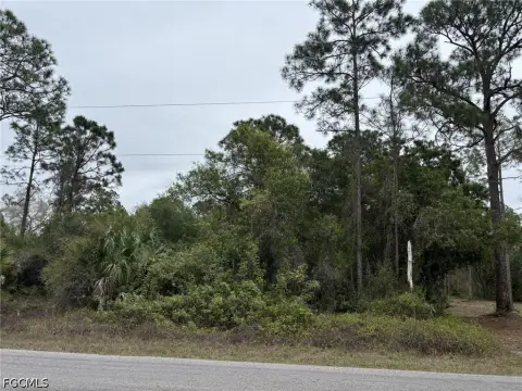 Residential Land in Lehigh Acres