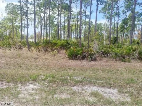 Half-Acre Lot in Bokeelia, FL