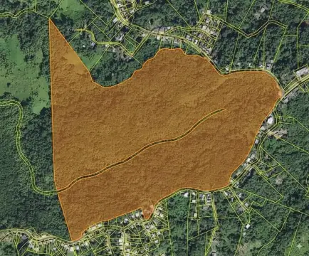 Añasco Farm Bordering State Road