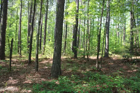 24.82 Acres in Monroe County