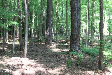 13 Acres in North Monroe