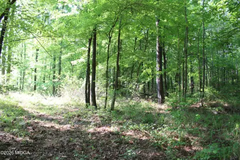 Forsyth, GA Land Tract
