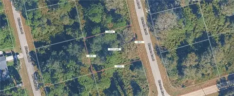 Residential Lot in Lehigh Acres