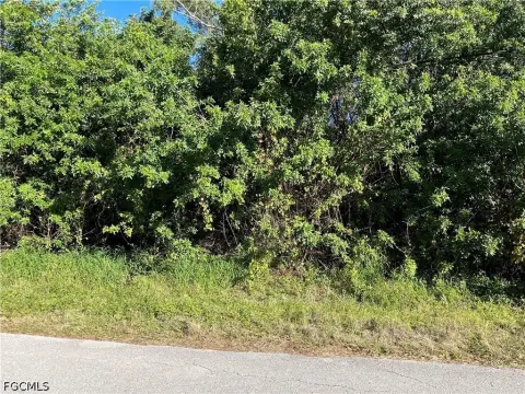 Lehigh Acres Vacant Land