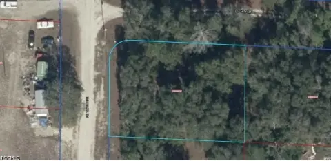 Vacant Lot in Williston, FL