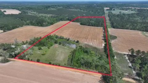 Farmland with Pond Near Valdosta