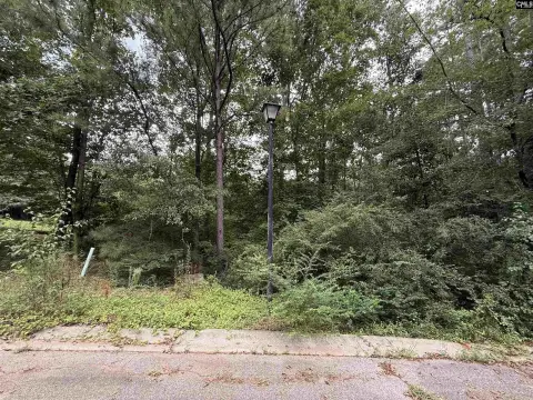 Winnsboro Land Tract For Sale