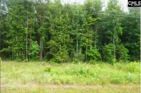 Residential Land in Neeses, SC