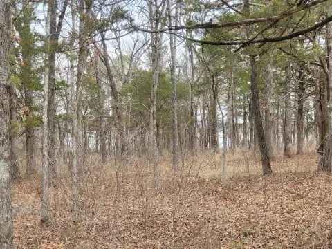 Residential Lot in Eagles Point